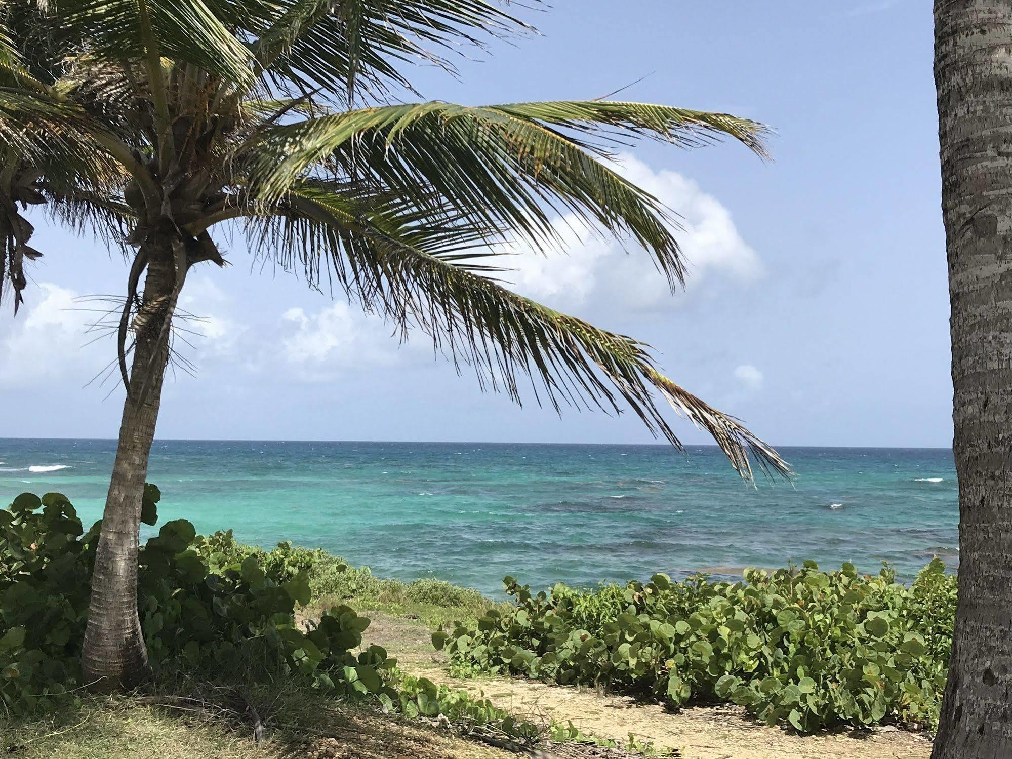 Ti.Maanga Vue Mer Pieds Dans L'Eau Saint-Francois  Extérieur photo